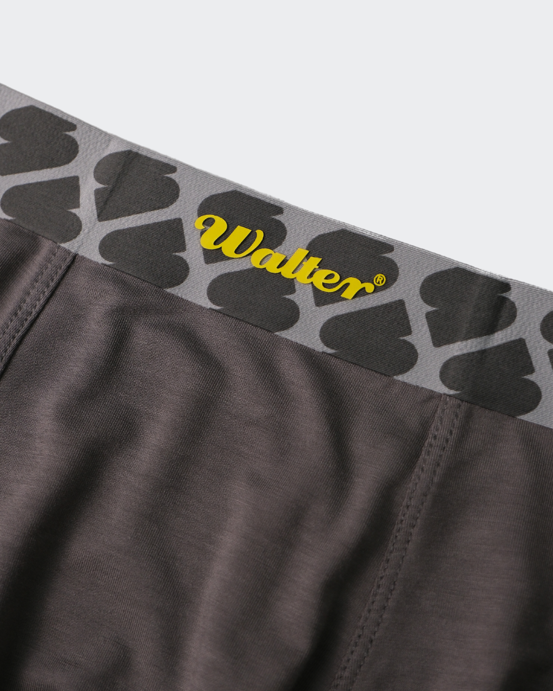 SPENDA X WALTER in Grey